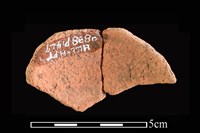 陶片藏品圖，第2張